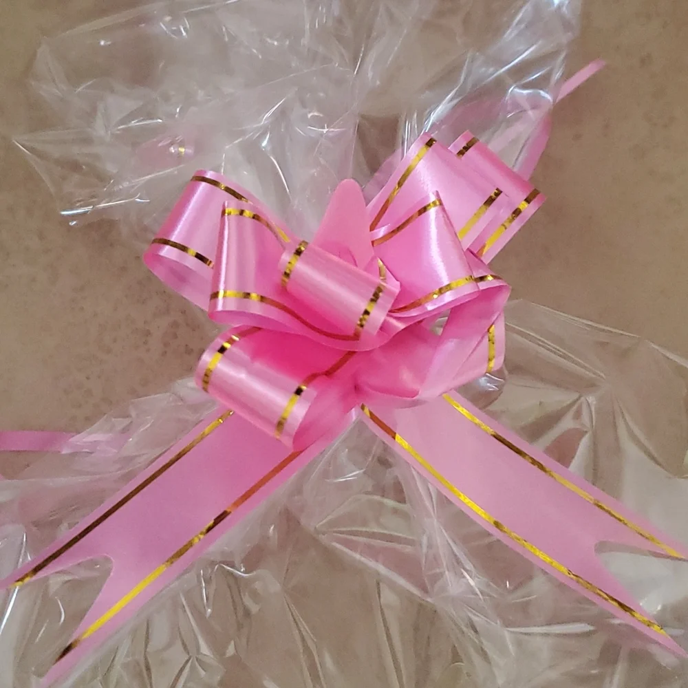 Clear Gift/Storage Bag with pink Ribbon nwot